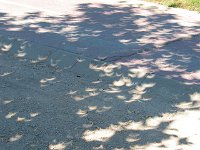 e pinhole crescents02