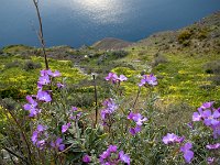 Santorini, Greece
