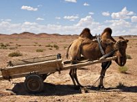 Jinta, China, Gobi desert