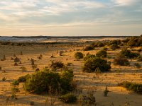Nambung National Park