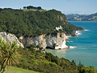 Coromandel