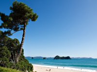 Coromandel, Hahei beach