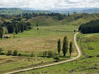 Hawke's Bay