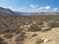 Mojave desert