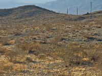Mojave desert