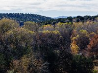 Gila, New Mexico